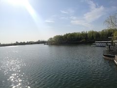 -大兴滨河森林公园