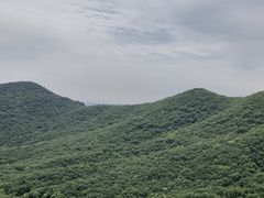 -皇藏峪国家森林公园