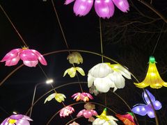 -武汉园博园(武汉自然博物馆)