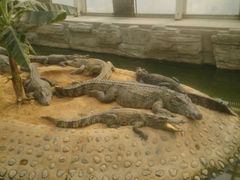 -石家庄市动物园