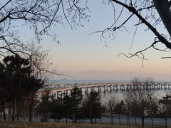 -星海湾跨海大桥