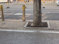 -顺华粉馆(桃园南路店)