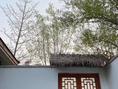 -思念果岭悦温泉