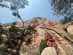 -崂山仰口游览区