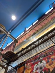 -卡通尼·Safari非洲探索乐园·生日会(金桥国际商业广场店)