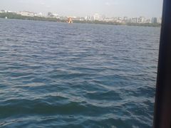 -西湖外事游船(花港观鱼码头)