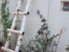 -铁炉咖啡(河下古镇店)