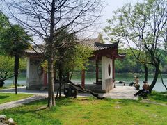 -紫霞湖公园