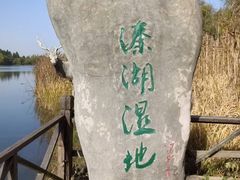 -溱湖国家湿地公园