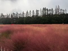 -嘉北郊野公园