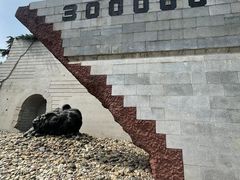 -侵华日军南京大屠杀遇难同胞纪念馆-停车场
