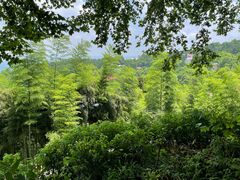 -莫干山风景区