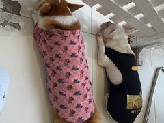 -怪兽屋·羊驼·猫咖·狗咖(俊华广场店)