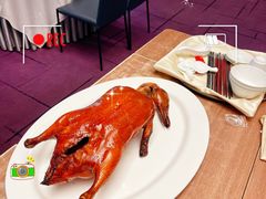 -和苑·精致粤菜(珠江新城店)