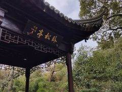 -上海佘山国家森林公园天马山园