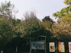 -月牙潭公园