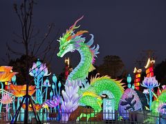 -花博汇(知音花月夜)