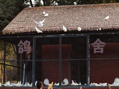 -良渚古城遗址公园