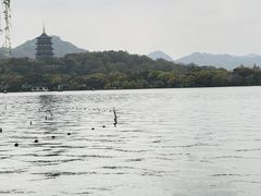 -杭州西湖柳莺里酒店