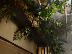 -来小酌·长安酒家(翠庭大厦店)