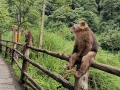 -峨眉山风景名胜区