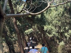 -金堂县云顶石城风景区