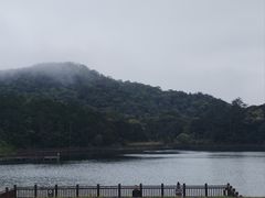 -海南热带雨林国家公园吊罗山景区