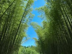 -同里国家湿地公园