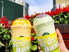 -茉酸奶(春熙路店)