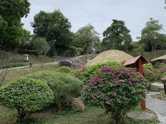 -森波拉火山温泉