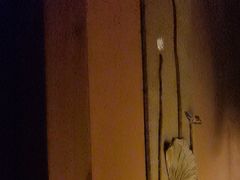 -泰·菩提树下[泰式按摩x精油SPAx肩颈头疗](新景店)