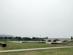 -西京湾花海