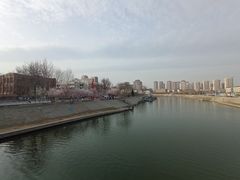 -桃花堤公园