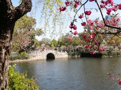 -无锡蠡湖国家湿地公园-蠡园