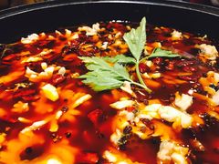 -重庆乌鱼庄·龙滋鲜(青羊大道店)