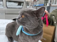 -宠福鑫康馨动物医院·骨科·眼科