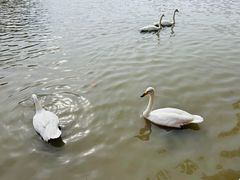 -上海野生动物园