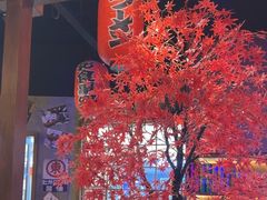 -白石的深夜食堂(济南万象城店)