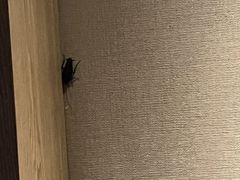 -和子足浴SPA会馆(梁溪店)