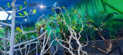 -未来动物城动物主题公园(大悦城店)