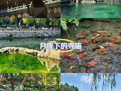 -济南大明湖景区