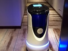 -上海龙之梦万丽酒店