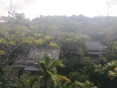 -海南槟榔谷黎苗文化旅游区