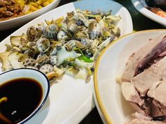 -椿不老