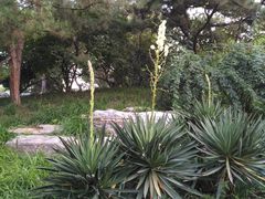 -丰台花园