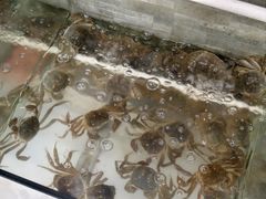 -呼吸森林·生态农庄农家乐私房菜