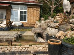 -丽泽山庄·生态怀柔菜·虹鳟鱼(红螺寺店)