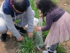 -前小桔亲子创意农场·草莓采摘·露营烧烤