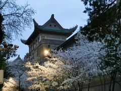 -武汉大学-樱园