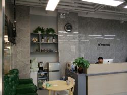 -INS羽毛接发·巴黎画染